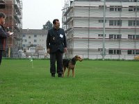 2006  07