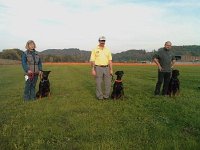 2008  4
