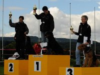 2010  38