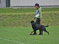 2012  10