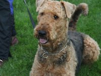 IMG_7388 : Gfeller