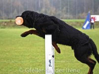 IMG_7505 : Gfeller