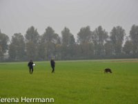 2014  09 : 5R, Verena Hermann, Verena Herrmann