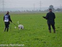 2014  13 : 5R, Verena Hermann, Verena Herrmann