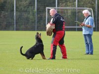 IMG_7637 : Gfeller