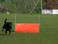 2017  071