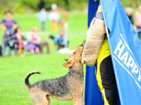 2021   137