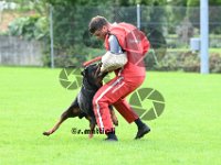 Sam - 047