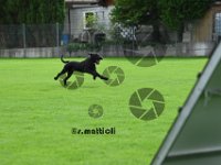 Sam - 081