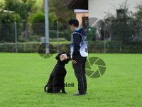 Sam - 082