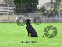 Sam - 206
